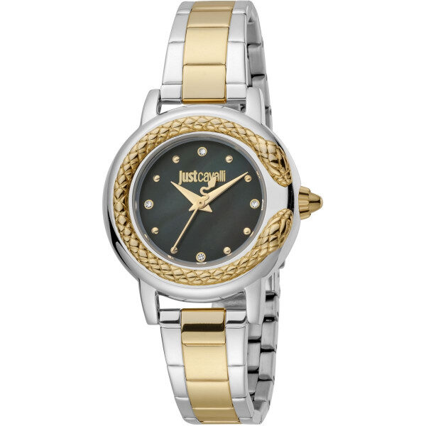 JUST CAVALLI JC1L151M0095