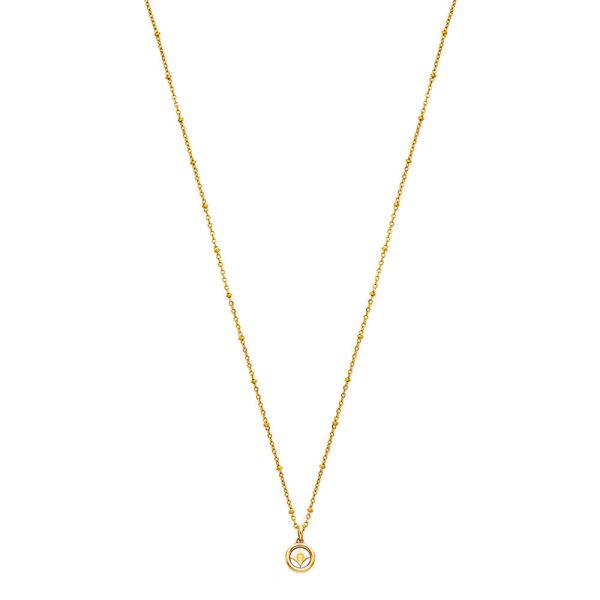 AIGNER AGJ231179GNL