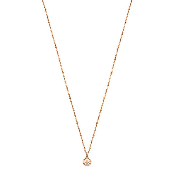 AIGNER AGJ231179RNL