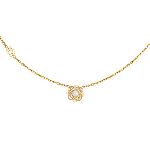CERRUTI CIJLN0013901