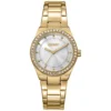 DKNY DK1L100M0065
