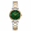 DKNY DK1L043M0105