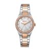 DKNY DK1L100M0135